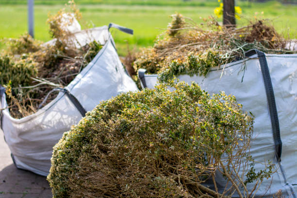 Best Commercial Cleanout Services  in Cascade Chipita Park, CO